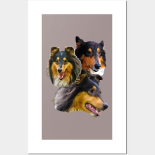 realistic dog print - cute collie Posters and Art
